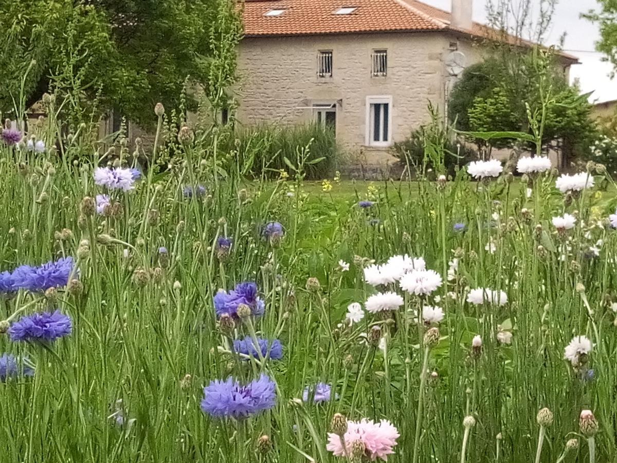 Chambres D'Hotes Chateau Pierre De Montignac Civrac-en-Medoc Bagian luar foto