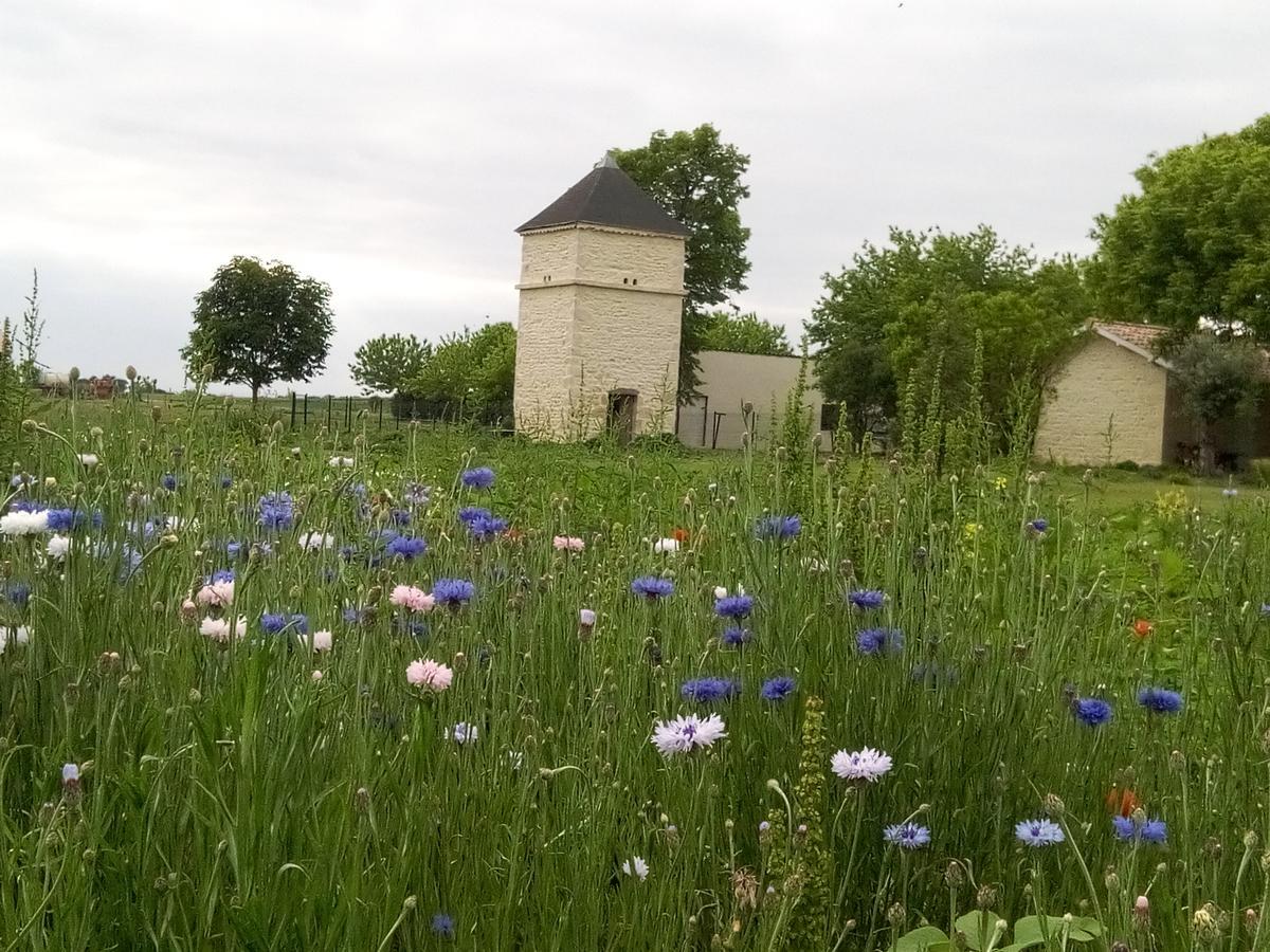 Chambres D'Hotes Chateau Pierre De Montignac Civrac-en-Medoc Bagian luar foto
